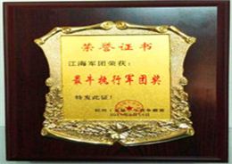 江海军团执行军团奖