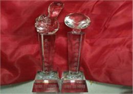 牛商争霸赛奖杯